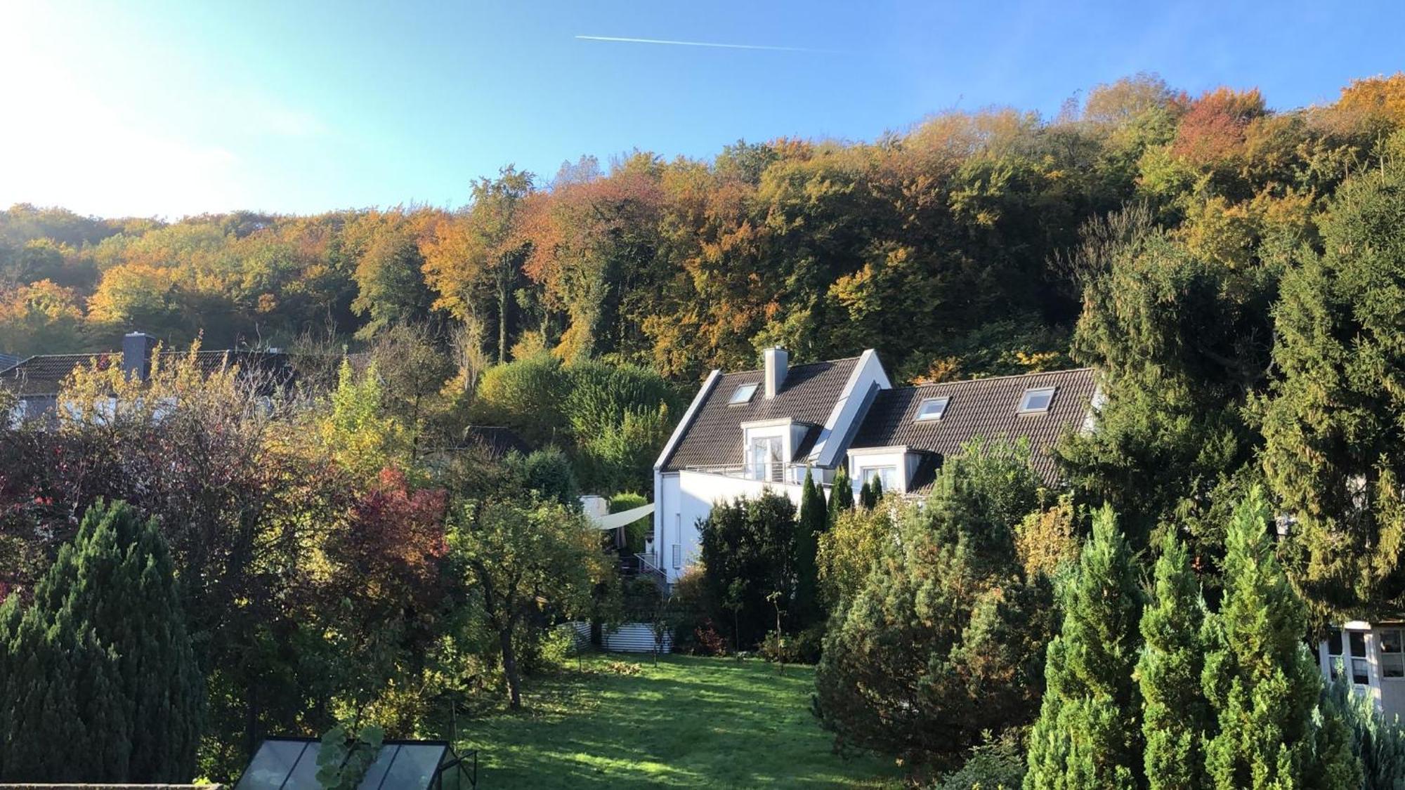 Ferienwohnung Am Schoelerberg أوسنابروك المظهر الخارجي الصورة